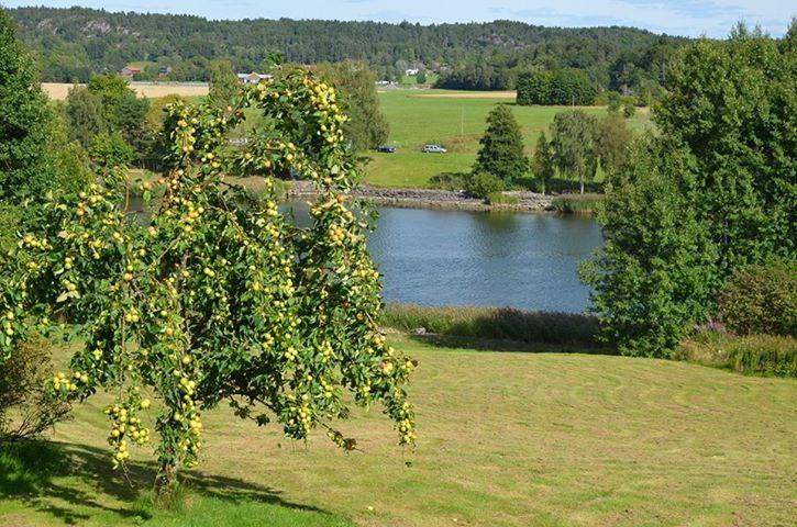 Aelvbacken Hotel Västerlanda Eksteriør billede